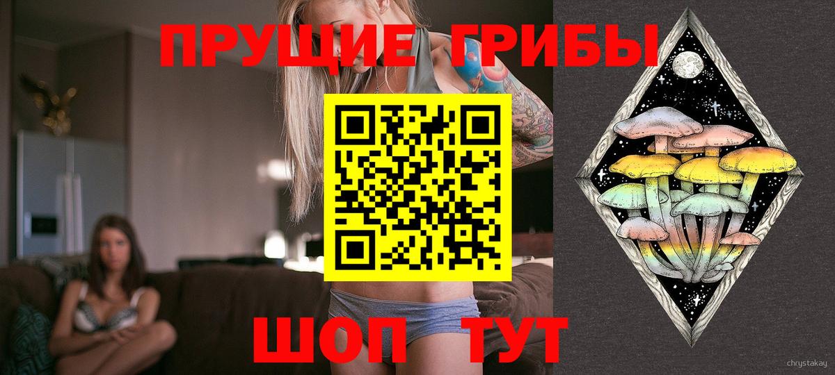 Галлюциногенные грибы GOLDEN TEACHER  Вход с VPN  Серпухов 